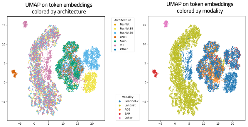 UMAP visualization of the latent weight space colored by architecture and modality.