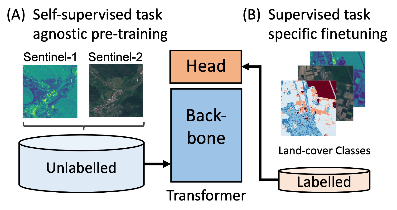 An overview of our self-supervised multi-modal contrastive learning approach for Vision Transformers. We propose to use large datasets of unlabelled multi-modal remote sensing data (Sentinel-1 and Sentinel-2) for self-supervised pre-training of vision Transformers using a contrastive loss. After self-supervised training of the backbone (A), the model and task-specific head can be fine-tuned on much smaller labelled datasets for different downstream tasks (B), such as land-cover segmentation and classification.