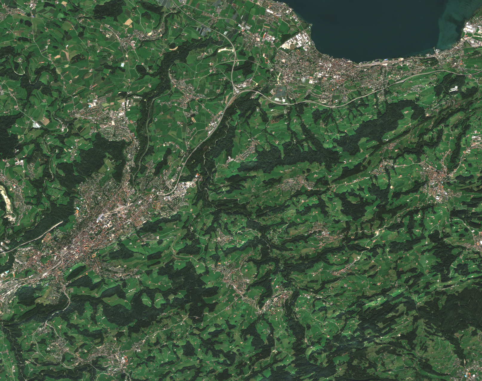 Satellite image of the St. Gallen area as observed by one of the European Space Agency's Sentinel-2
satellites. The city of St. Gallen is located on the left with Lake Constance at the top and the Appenzell area to the 
right.